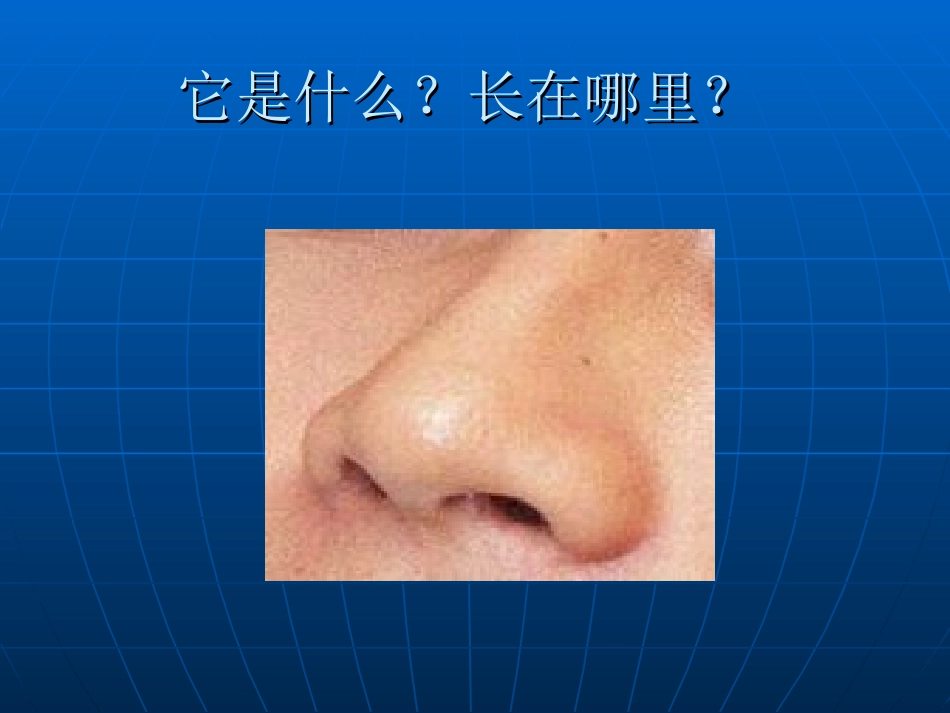 保护鼻子课件_第2页