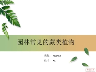 第16课时25常见的植物蕨类植物