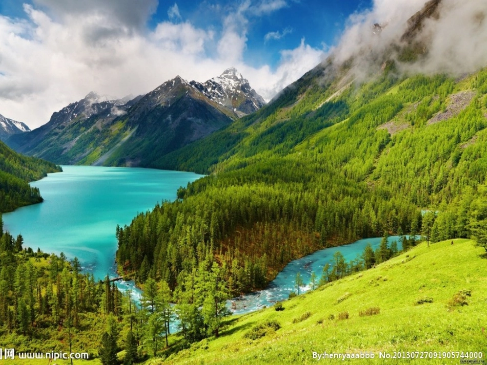 《画春天》课件_第3页