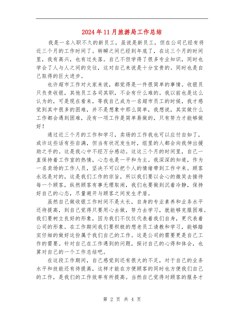 2024年11月旅游局工作总结_第2页