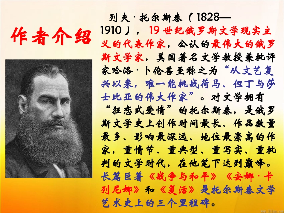 《娜塔莎》课件_第2页