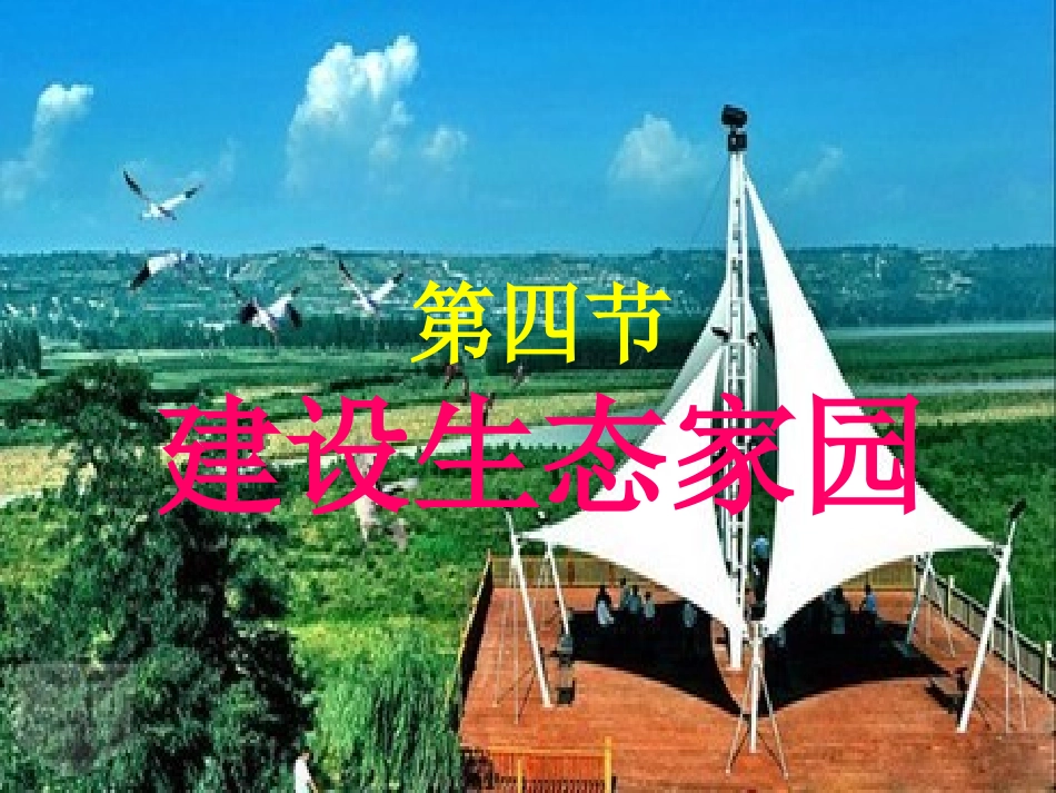 建设生态家园_第1页