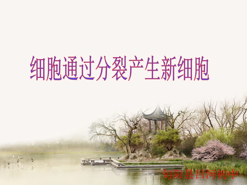 细胞通过分裂产生新细胞_第1页