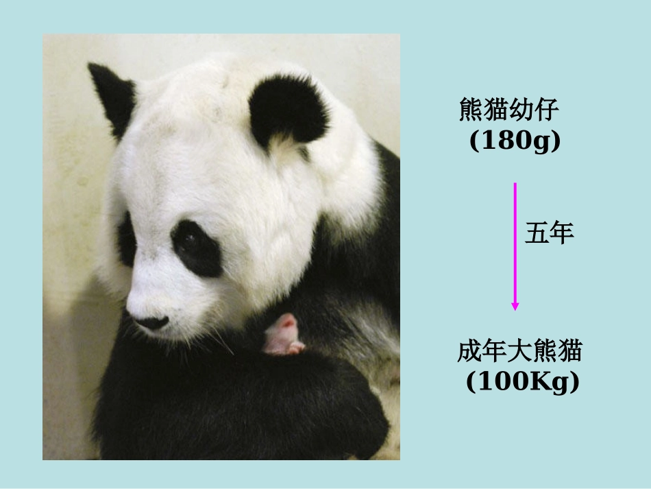 细胞通过分裂产生新细胞_第2页