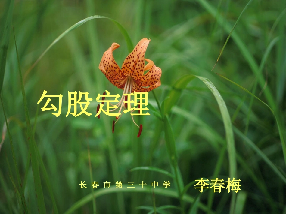 勾股定理4课件_第1页