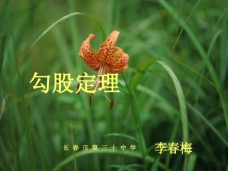 勾股定理4课件