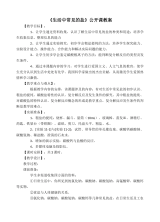《生活中常见的盐》公开课教案