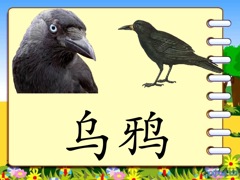 乌鸦喝水高版本_第2页