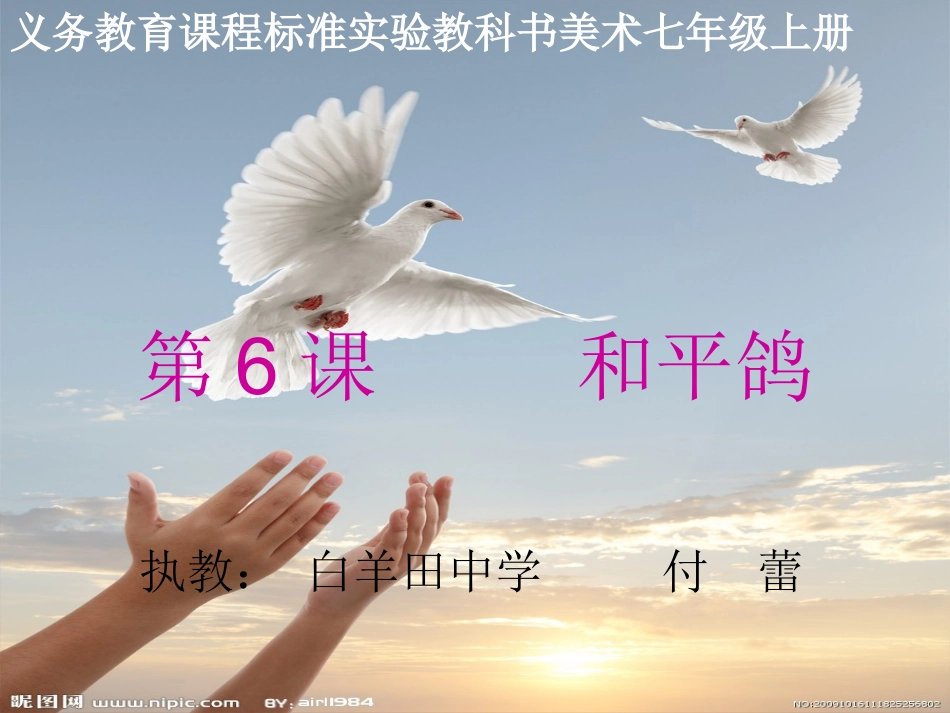 第6课和平鸽 (2)_第1页