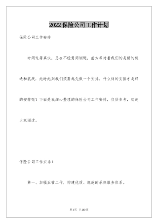 2024保险公司工作计划_5