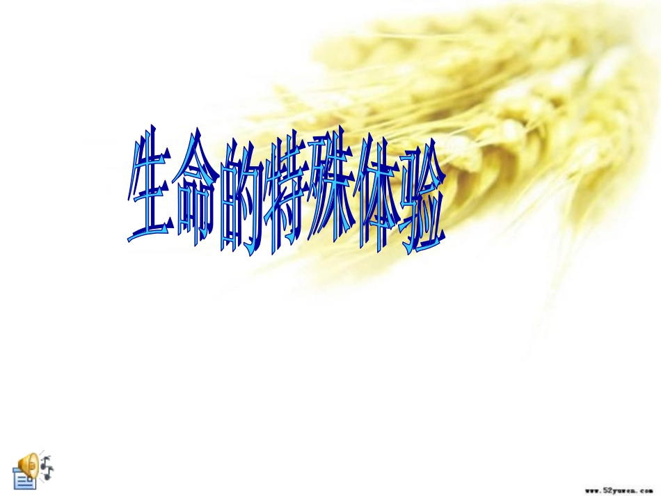 生命的特殊体验_第1页