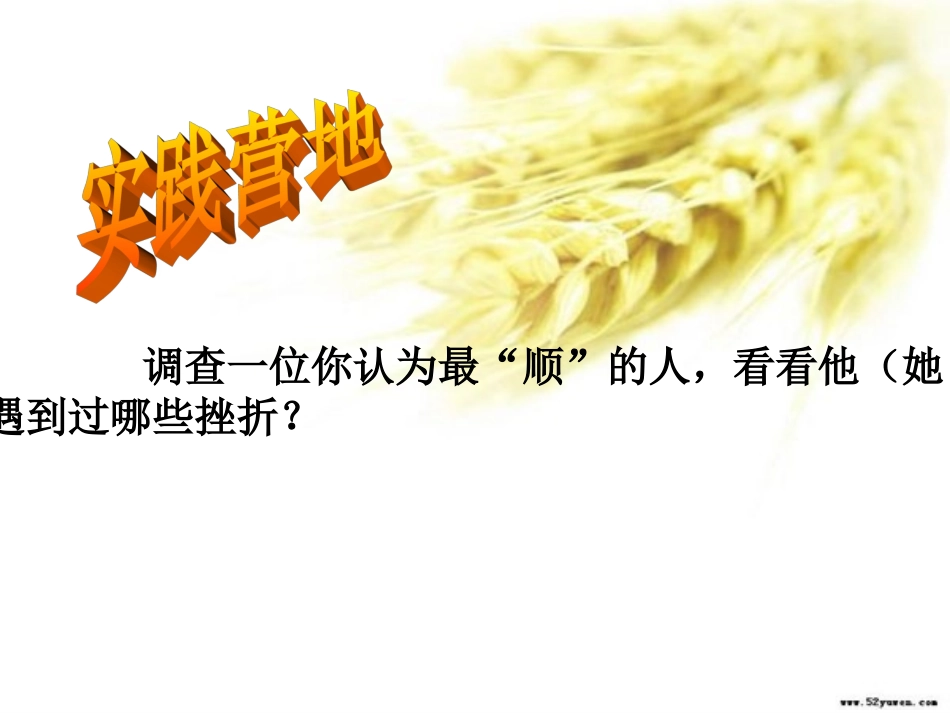 生命的特殊体验_第2页