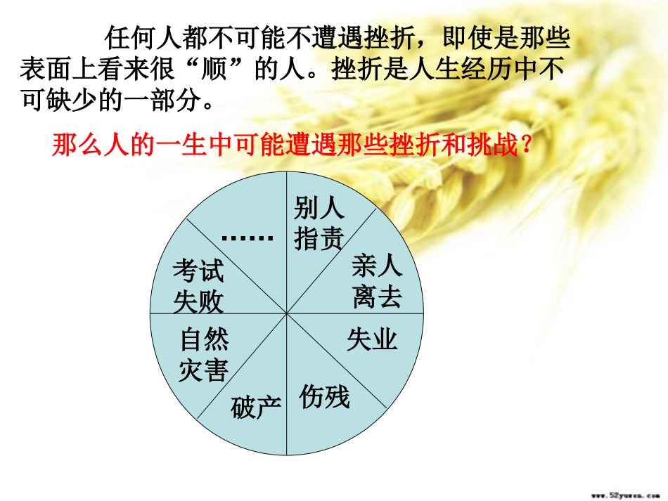 生命的特殊体验_第3页