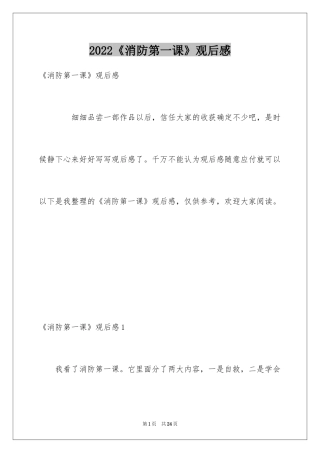 2024《消防第一课》观后感