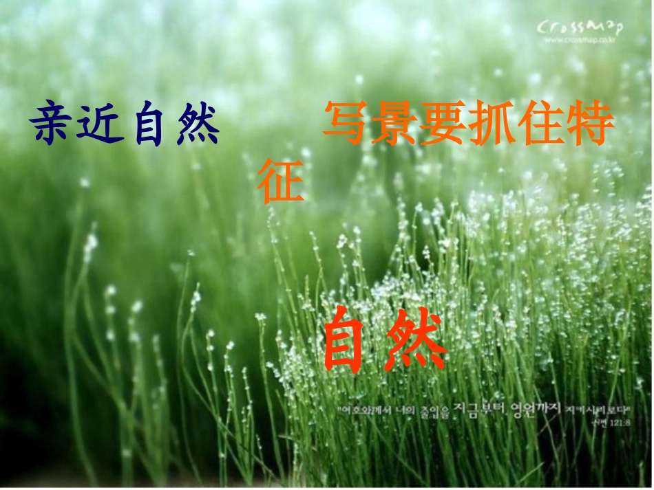 亲近自然——写景要抓住特征(上课)_第1页