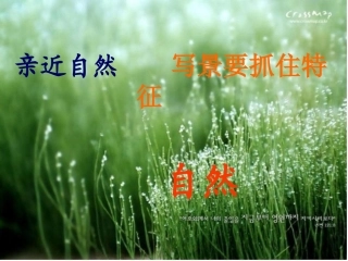 亲近自然——写景要抓住特征(上课)