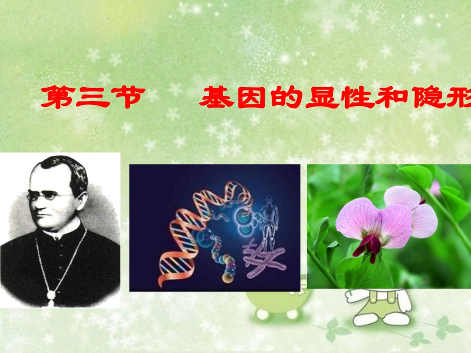 -_基因的显性和隐性_第2页