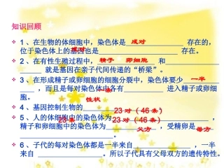 -_基因的显性和隐性