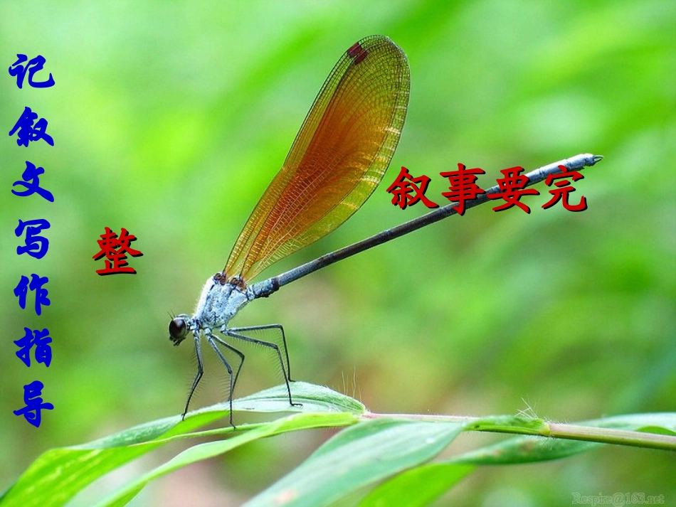 叙事完整上课_第1页