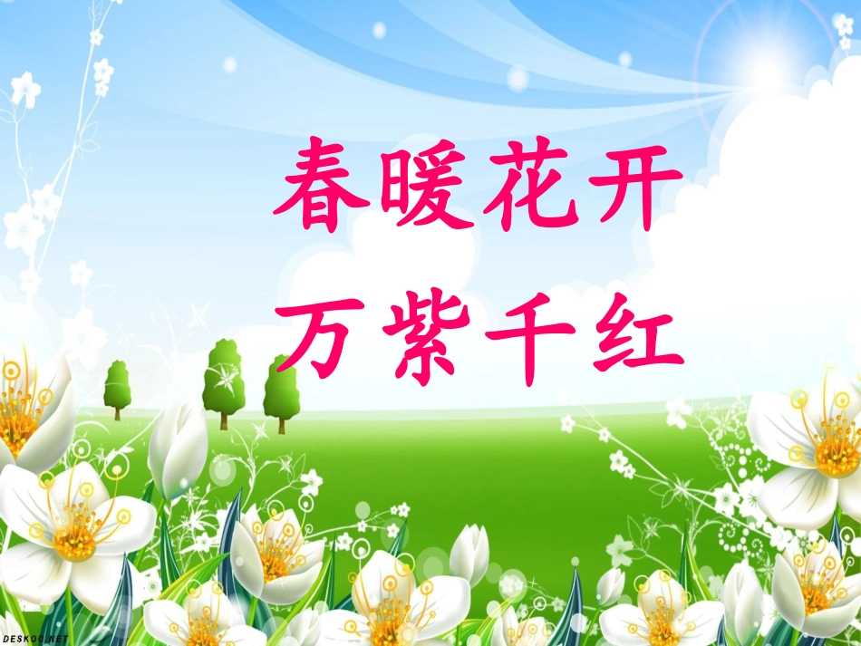 《柳树醒了》_第1页