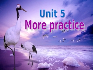 八下unit5MorePractice