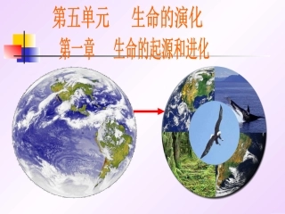 生命的起源课件