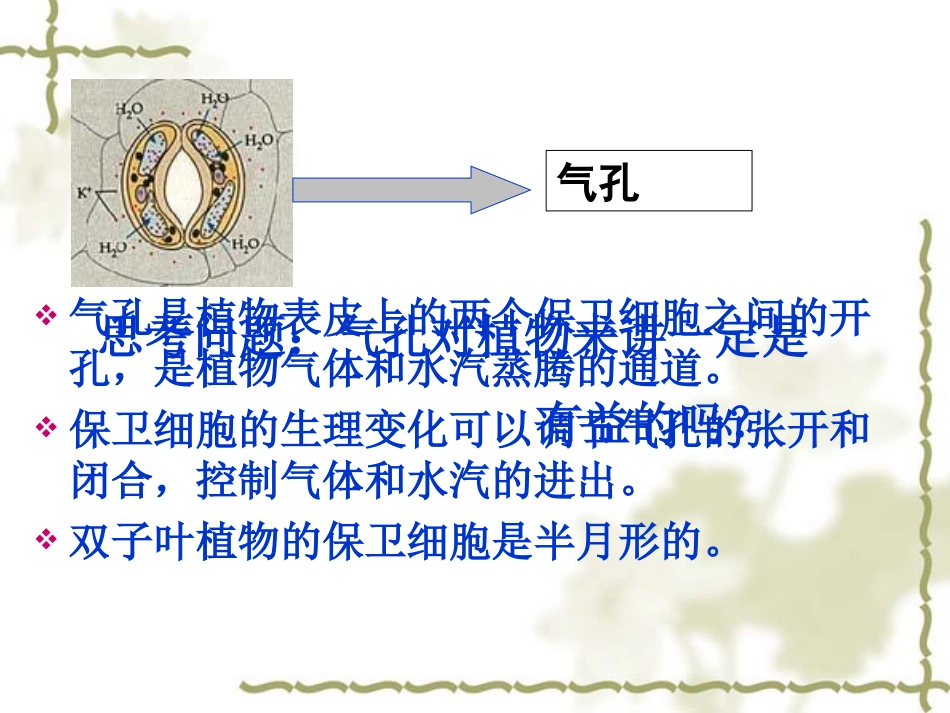 用显微镜观察身边的生命世界(二)_第3页