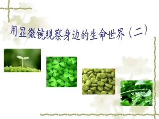 用显微镜观察身边的生命世界(二)