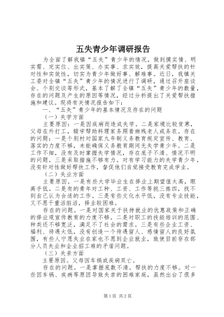 五失青少年调研报告