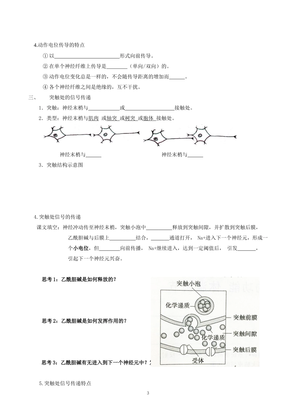 必修三第二章第二节神经系统的结构与功能_第3页