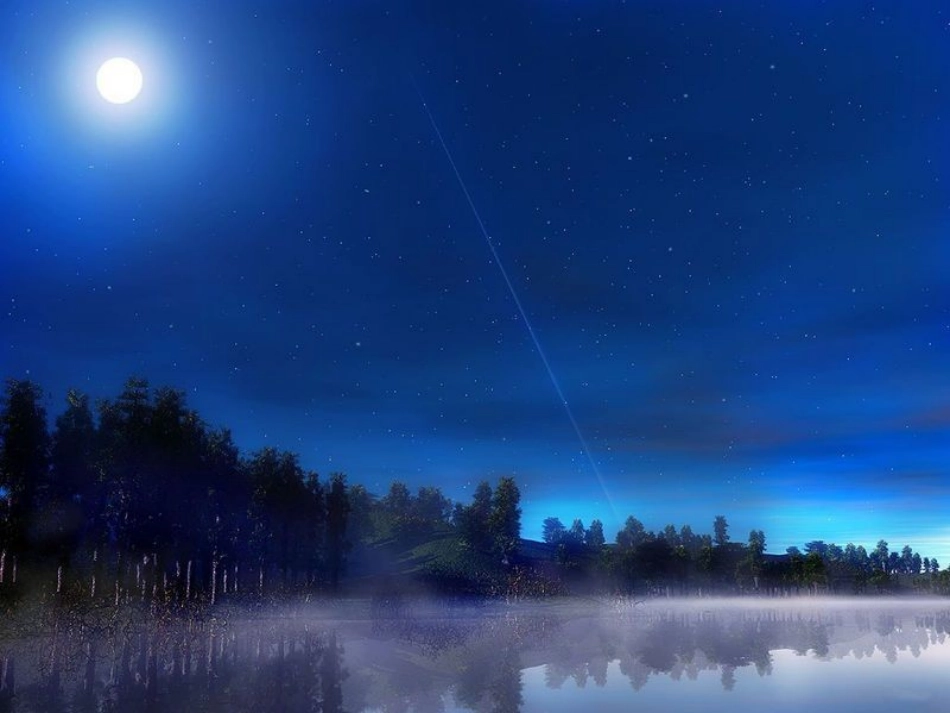 西师版一年级下册夏天的夜晚_第2页