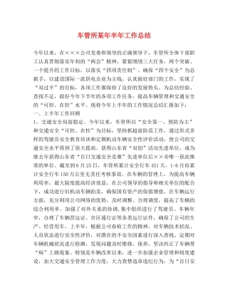 车管所某年半年工作总结 