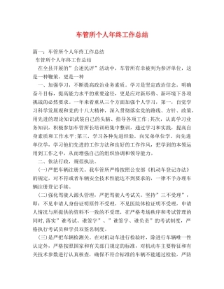 车管所个人年终工作总结 
