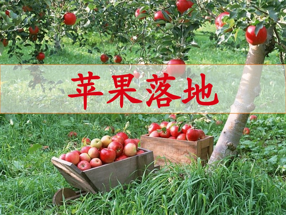 《苹果落地》_第1页