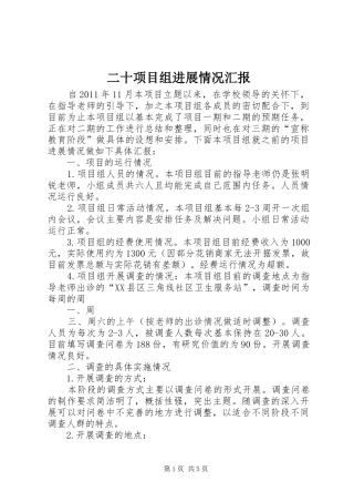 二十项目组进展情况汇报