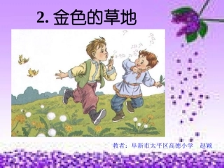 金色的草地2