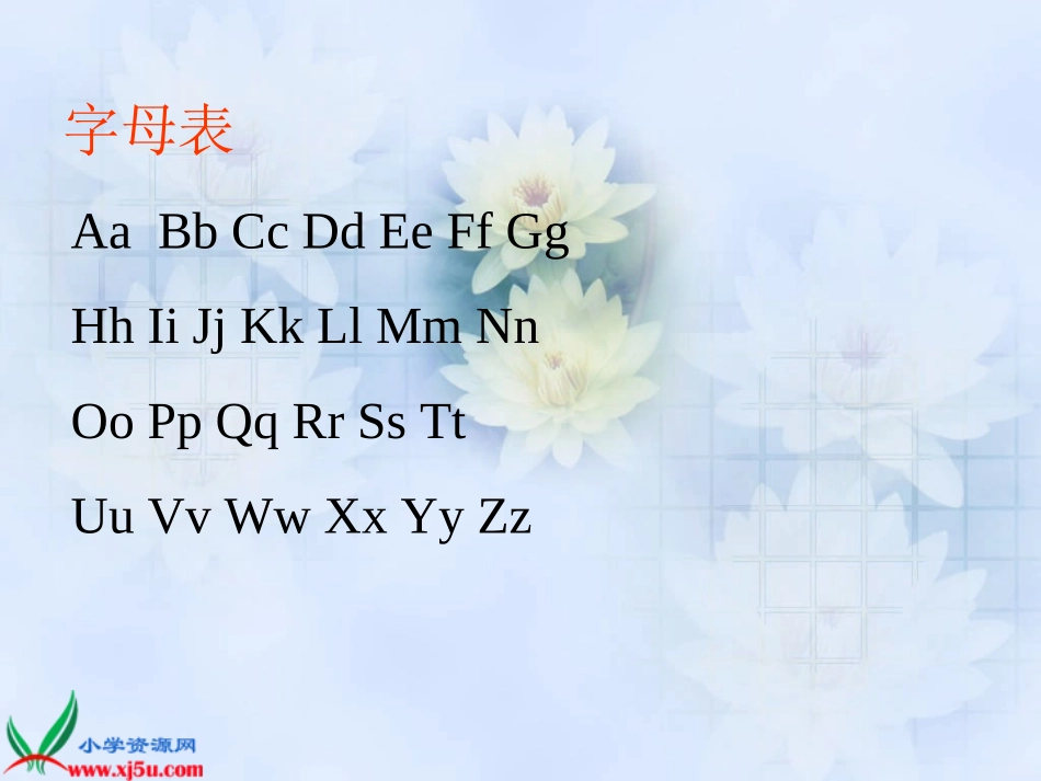 六年级语文___汉语拼音知识复习专题_第2页