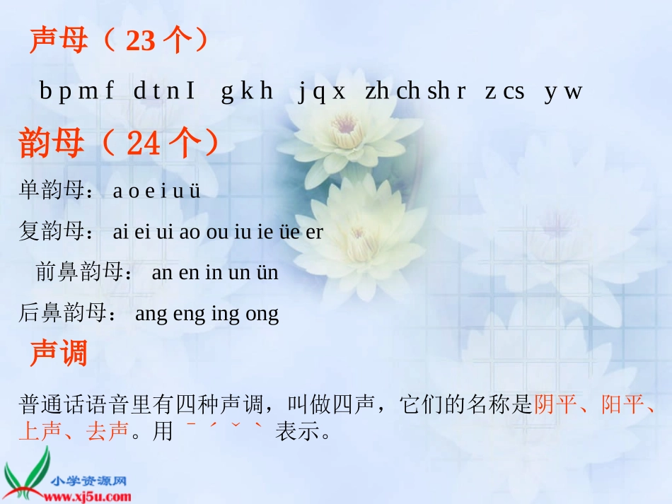 六年级语文___汉语拼音知识复习专题_第3页