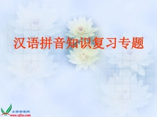 六年级语文___汉语拼音知识复习专题