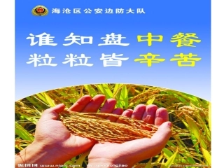 丘培兰《爱惜粮食》PPT