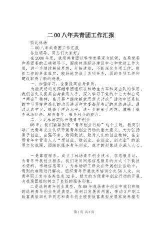 二00八年共青团工作汇报