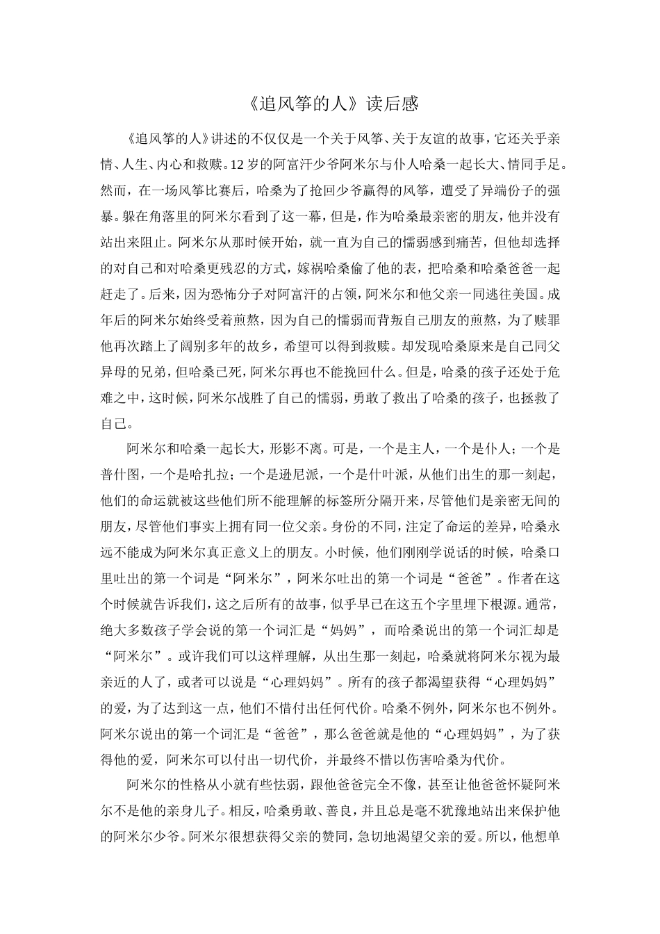 《追风筝的人》读后感_第1页