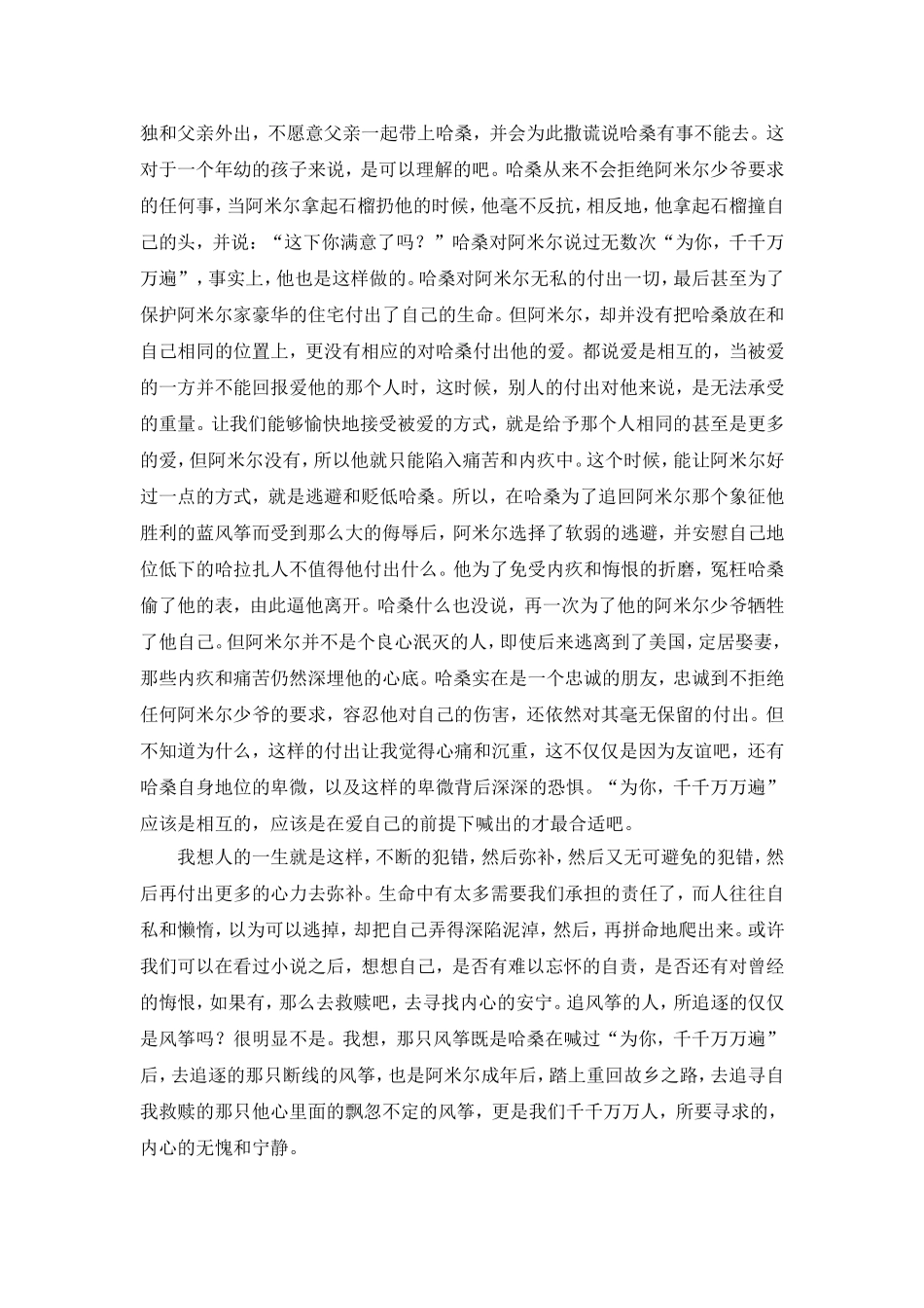 《追风筝的人》读后感_第2页