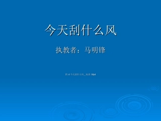《今天刮什么风》
