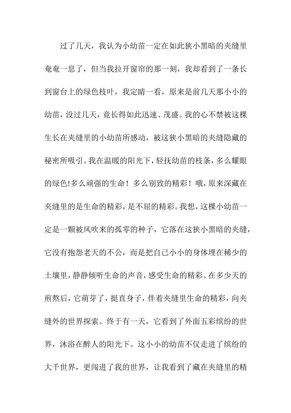 藏在夹缝里的精彩_第2页