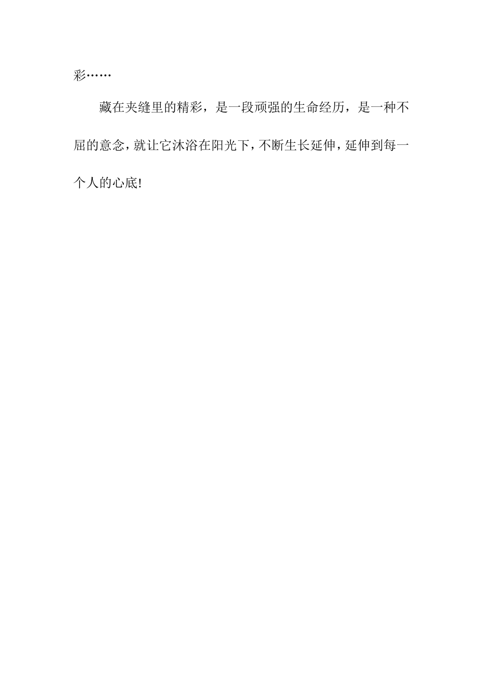 藏在夹缝里的精彩_第3页