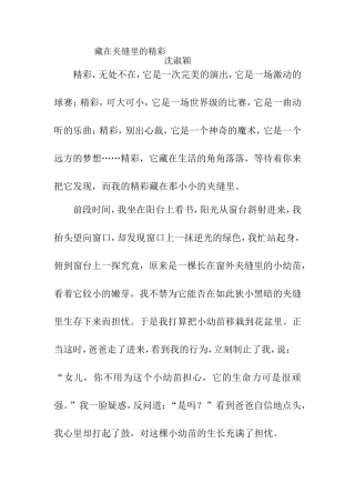 藏在夹缝里的精彩