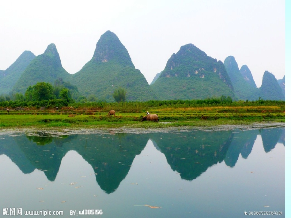 《倒数的认识自己制作新PPT_第3页