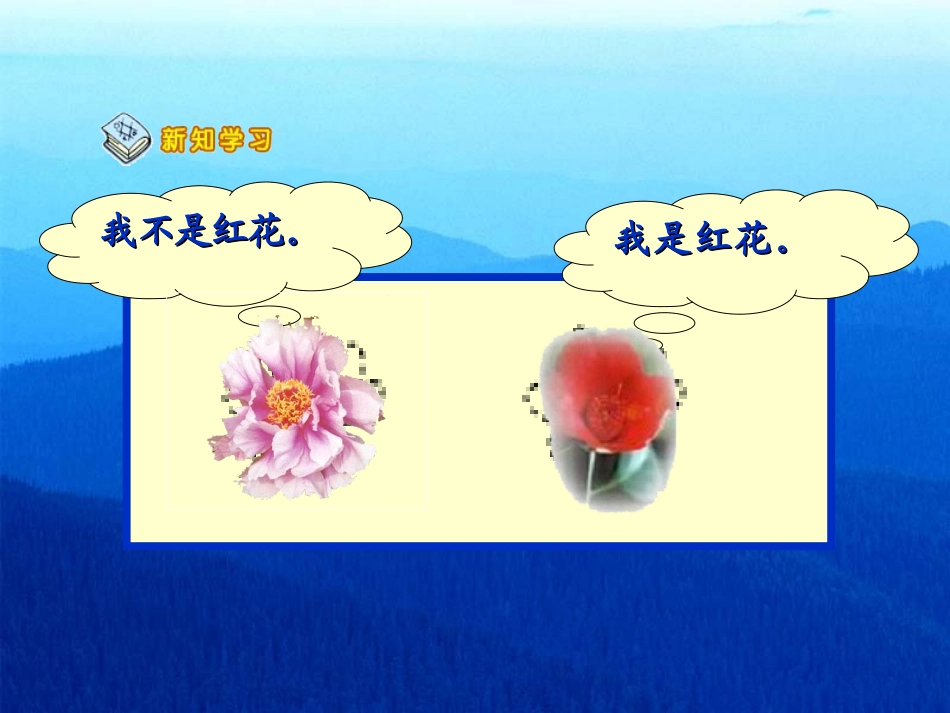 新课标人教版数学五年级下册《数学广角》课件之一_第3页