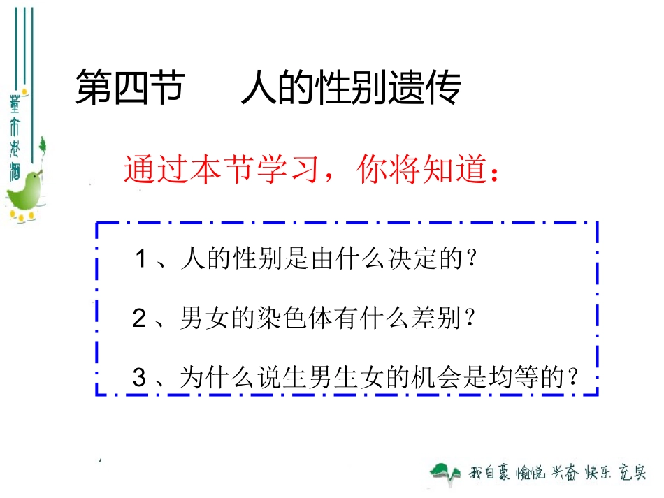 2013版八下724人的性别遗传_第2页